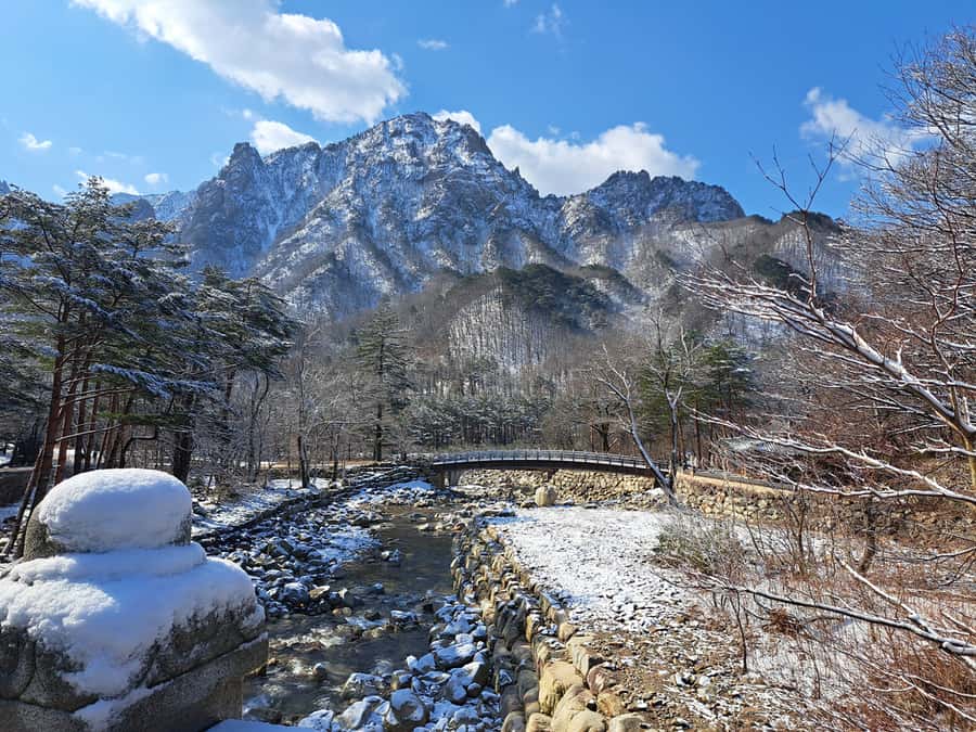 Seoul: Seorak Mountain+Nami Island+Eobi Ice Valley Tour - Eobi Ice Valley frozen waterfall photos, plus the backup plan