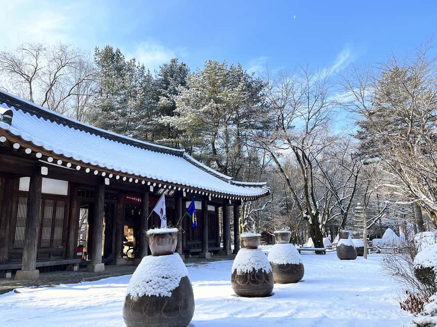 Seoul: Seorak Mountain+Nami Island+Eobi Ice Valley Tour - Why this combo works for a short winter trip