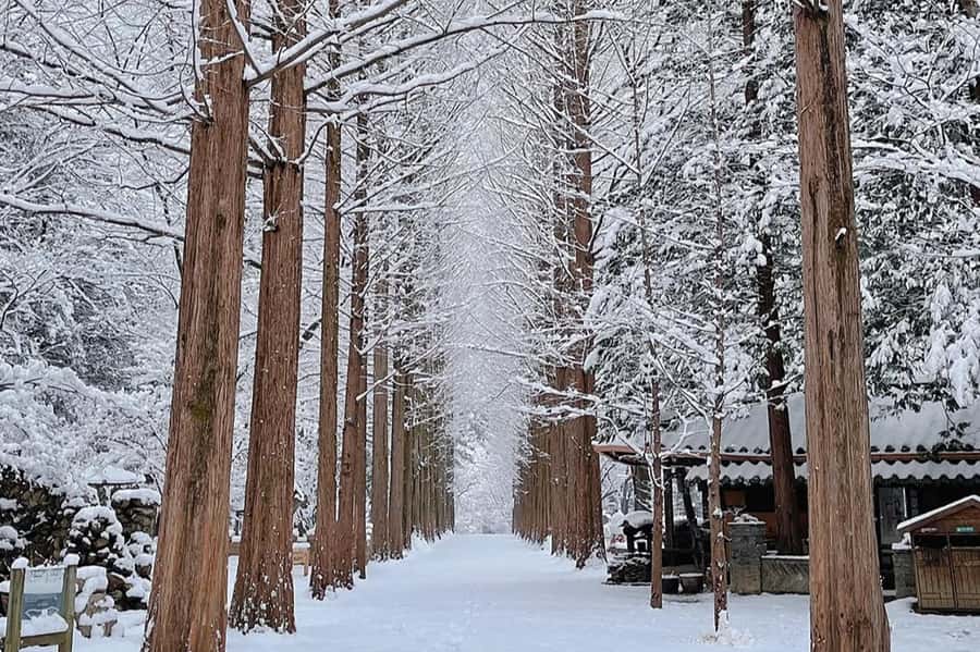Seoul: Seorak Mountain+Nami Island+Eobi Ice Valley Tour - Timing, weather changes, and how to keep the day smooth