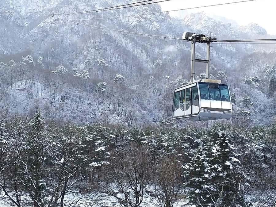 Seoul: Seorak Mountain+Nami Island+Eobi Ice Valley Tour - Seoraksan winter views and Tongil Daebul plus Sinheungsa