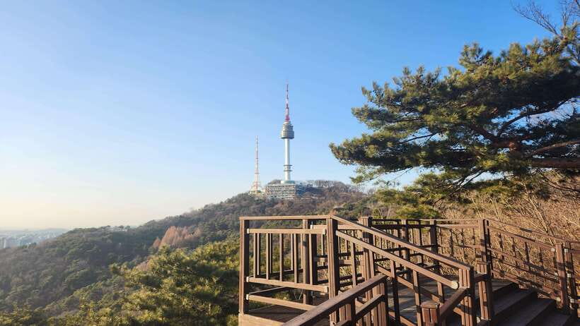 Seoul: Services of a Local for a Day (Paperwork/Tour/Fun) - A Seoul Day That Moves With Your Needs