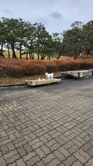 Seoul: Services of a Local for a Day (Paperwork/Tour/Fun) - Budget and Value: What the $207 Covers, and What It Does Not