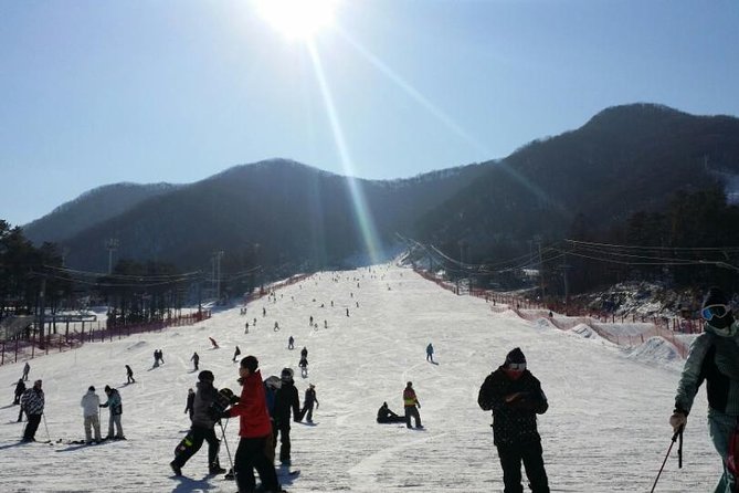 Seoul Ski Tour at Jisan Forest Resort - On the slopes: gondola days, beginner gear, and real run time