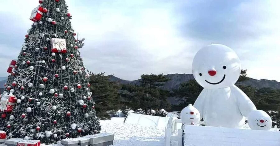 Seoul: SnowyLand in Vivaldi Park with Nami or Alpaca - Small-group or private style: what changes?