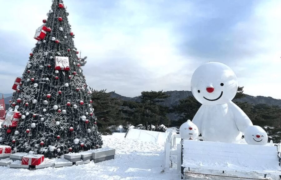 Seoul: SnowyLand in Vivaldi Park with Nami or Alpaca - Alpaca World option: fluffy animals and hands-on feeding