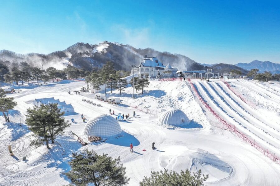 Seoul: SnowyLand in Vivaldi Park with Nami or Alpaca - Who this tour suits best