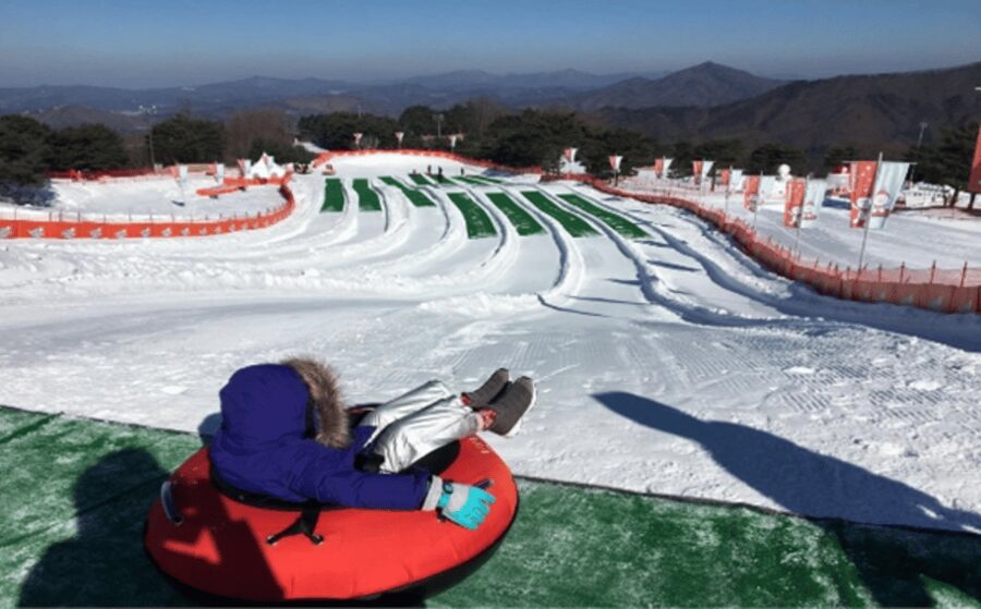 Seoul: SnowyLand in Vivaldi Park with Nami or Alpaca - The guided flow from Seoul: bus time, calm structure, and convenient drops
