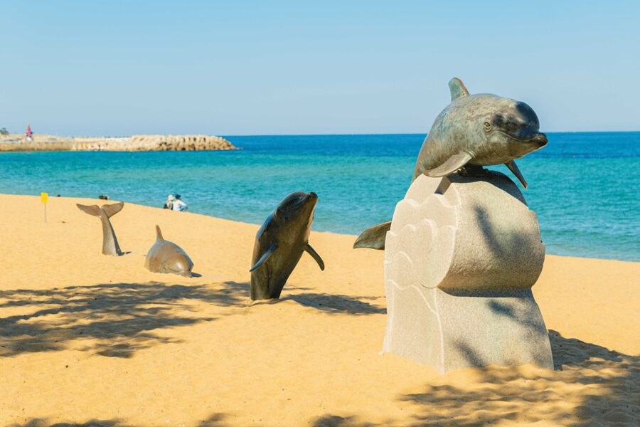 Seoul: Sokcho beach, market, hot spring and Seorak Cable Car - Seorak Cable Car over Seoraksan National Park: how to get the best views