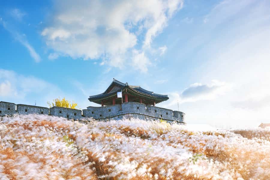 Seoul : Suwon Hwaseong Fortress+Starfield Library+Waujeongsa - Starfield Library: Suwon’s Modern, Photo-Friendly Break