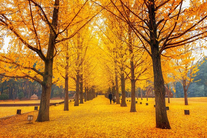 Seoul to/from Nami Island: Round trip Shuttle Bus Service - Price and Value: Is $23.81 Worth It?
