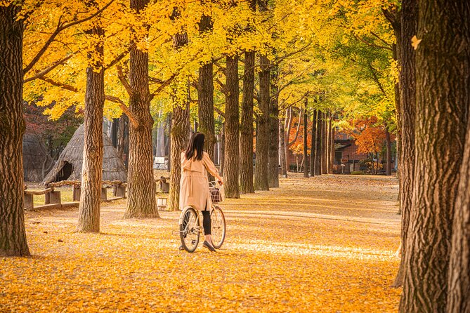 Seoul to/from Nami Island: Round trip Shuttle Bus Service - Is This Shuttle for You? My Booking Advice