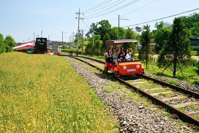 Seoul Vicinity 5 in 1: Nami Island, Garden of Morning Calm & More - Transportation, pick up, and how the day actually flows