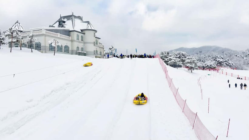 Seoul: Vivaldi Park Winter Ski with Nami Island Day Tour - Key Points Worth Noting