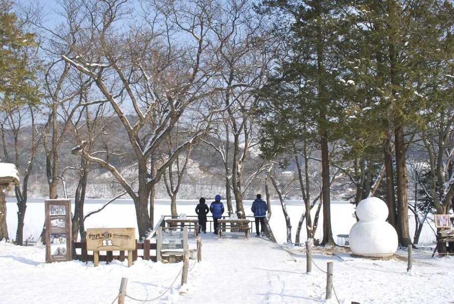 Seoul: Vivaldi Park Winter Ski with Nami Island Day Tour - From Seoul to Slopes Plus Nami Island, One Long Winter Day