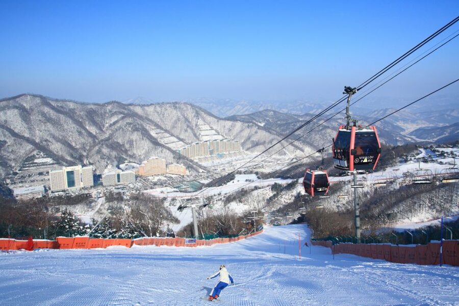 Seoul: Vivaldi Park Winter Ski with Nami Island Day Tour - Vivaldi Park Ski World: Rentals, Safety Talk, and 4 Hours On-Snow Time
