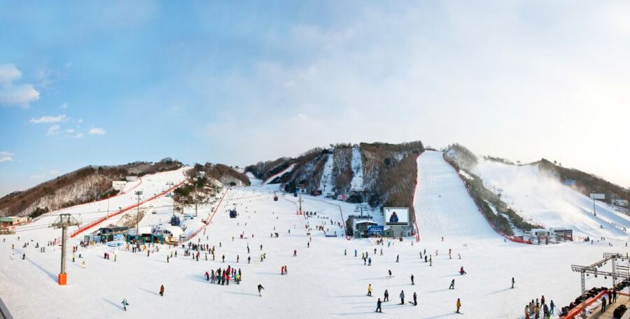 Seoul: Vivaldi Park Winter Ski with Nami Island Day Tour - The 1-Hour Lesson That Gets You Going