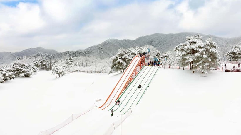 Seoul: Vivaldi Park Winter Ski with Nami Island Day Tour - Budget Reality: Helmets, Gloves, Goggles, and Pads