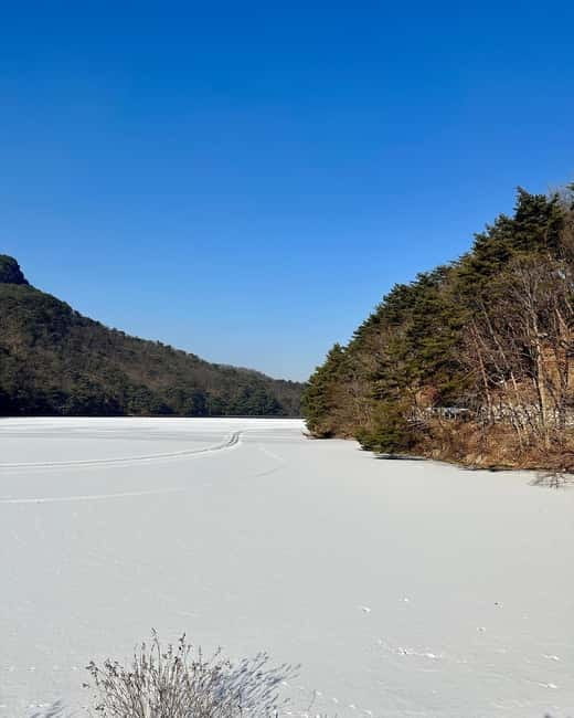 Seoul: Winter Day Tour in Pocheon (+Strawberry Picking) - Why This Seoul-to-Pocheon Winter Day Works