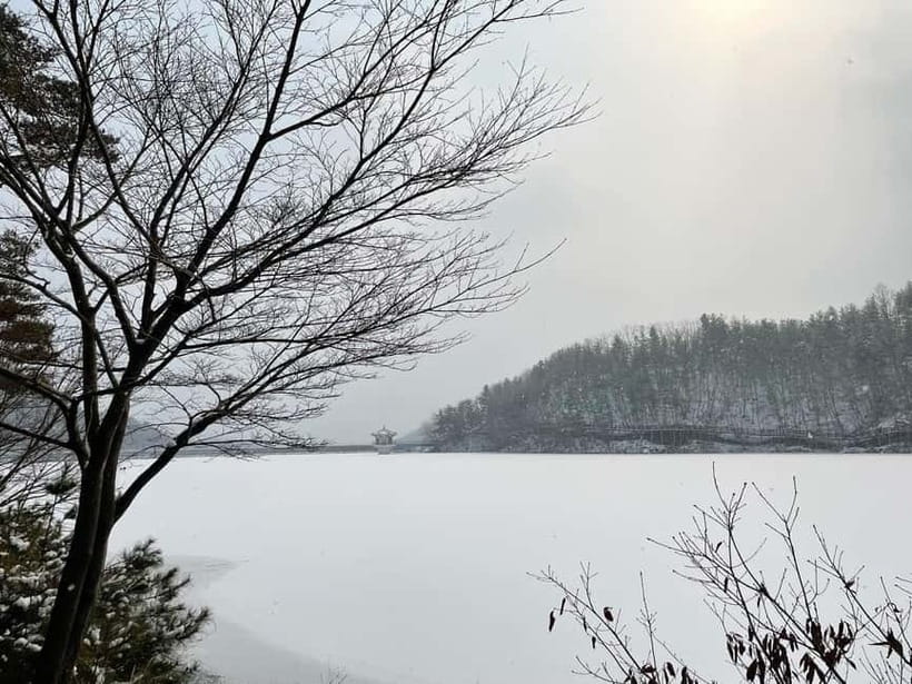 Seoul: Winter Day Tour in Pocheon (+Strawberry Picking) - Dally.On: Your First Hour to Get Oriented