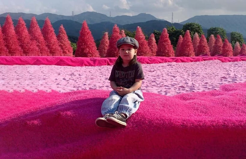 Seoul: Winter Day Tour in Pocheon (+Strawberry Picking) - Atal Strawberry Farm: Picking and Tasting in Winter