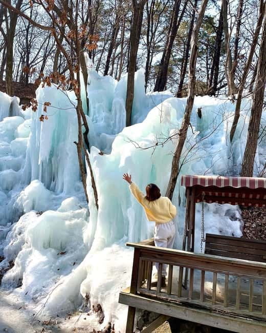 Seoul: Winter Day Tour in Pocheon (+Strawberry Picking) - Cost and Value: What $62 Buys You in Real Life
