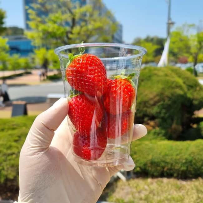Seoul: Winter Day Tour in Pocheon (+Strawberry Picking) - Pickup, Transfers, and the Self-Guided Reality
