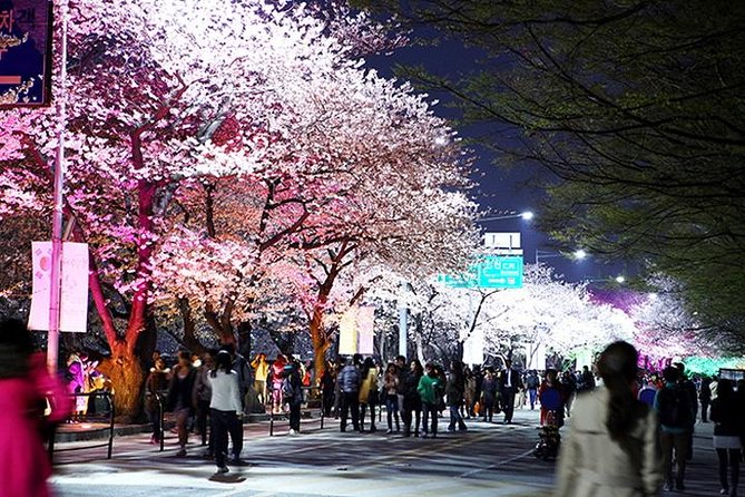 Small Group 7D Korea package Tour with Seoul Gyeongju Busan Jeju - Seoul Day 5: Hongdae energy, Myeongdong Nanta, and a Korean cooking class