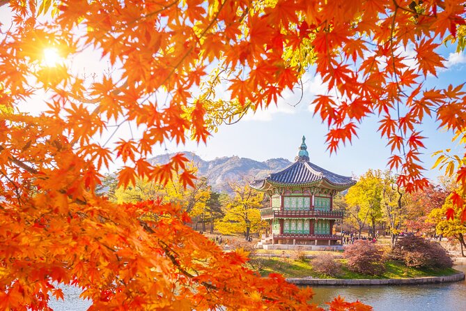 Small Group (7pax) Seoul Tour with Pickup/Dropoff (No Shopping) - Why This 7-Person, No-Shopping Seoul Day Works