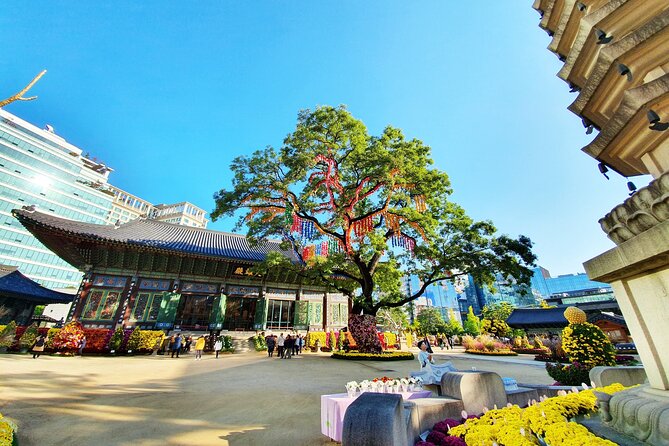 Small-Group Royal Palace and Seoul City Tour (hotel pick-up) - Gyeongbokgung Palace and the Joseon power story