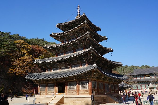 Songnisan National Park & Beopjusa Temple UNESCO site Private Tour - How the private format makes a Songnisan day feel personal