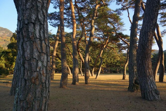 Songnisan National Park & Beopjusa Temple UNESCO site Private Tour - Songnisan National Park: choose 2 hours on the trail or tackle Munjangdae
