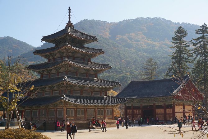 Songnisan National Park & Beopjusa Temple UNESCO site Private Tour - Lunch that keeps you fueled for a long day