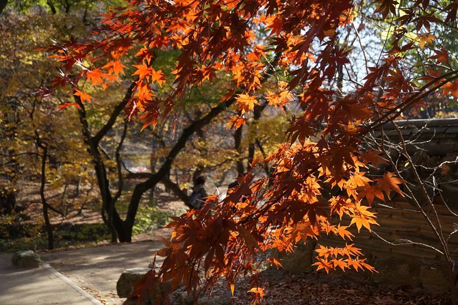 Songnisan National Park & Beopjusa Temple UNESCO site Private Tour - Value and who this $248 private tour makes most sense for