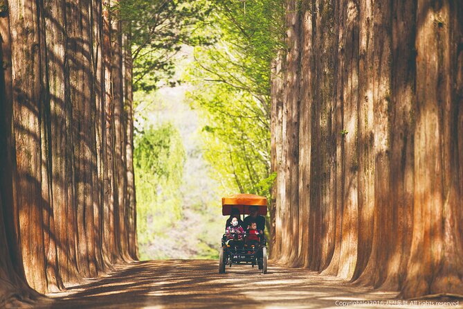 Special Private Tour Nami Island, Rail Bike, Petite France - Petite France: French Flair, Antiques, and Family-Friendly Magic