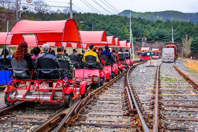 Special Private Tour Nami Island, Rail Bike, Petite France - Pacing Tips for Crowds and Photo Time