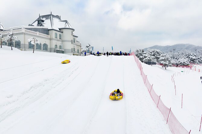 Strawberry Picking, Winter Sled with Eobi Ice Valley from Seoul - Transportation from central Seoul, and why pickup matters
