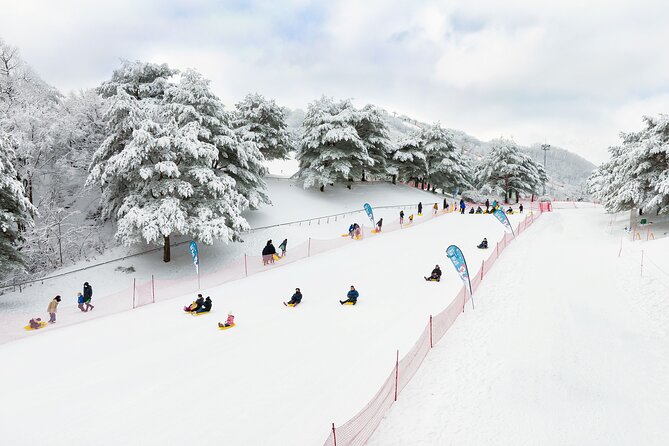 Strawberry Picking, Winter Sled with Eobi Ice Valley from Seoul - Who this tour suits best (and who might want something else)