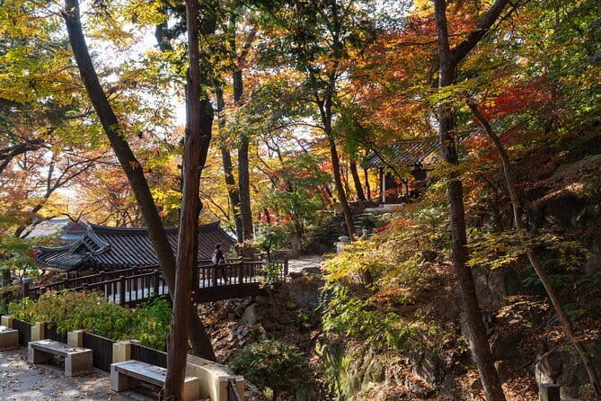 Street photoshoot and Seoul Hidden gem History Walking Tour - Price and logistics, plus practical tips before you go