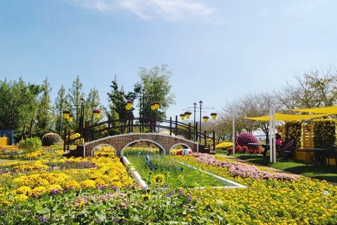 Suncheon one day tour from Seoul, Busan or Suncheon - Stop 4: Suncheon Bay Wetland Reserve and why it keeps showing up