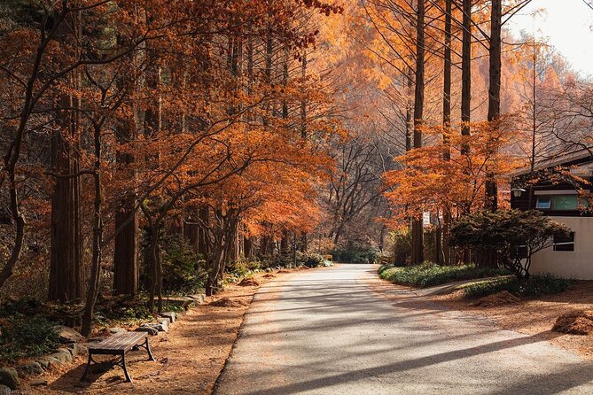 Suwon Hwaseong Fortress & Jangtaesan Full-Day Tour: Autumn Leaves - Key highlights before you go