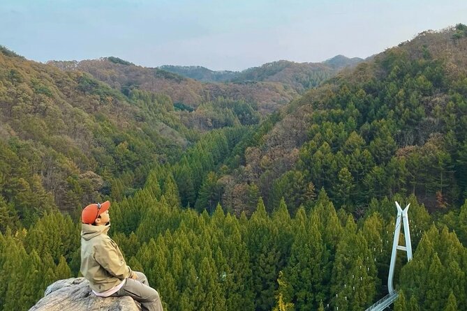 Suwon Hwaseong Fortress & Jangtaesan Full-Day Tour: Autumn Leaves - Early Pickup Out of Seoul, Then a Calm Pace