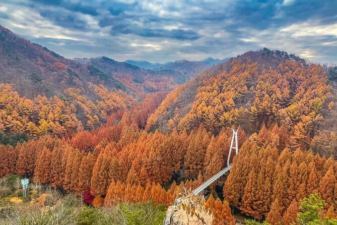 Suwon Hwaseong Fortress & Jangtaesan Full-Day Tour: Autumn Leaves - Guide Moments That Make the Day Easier