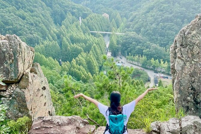 Suwon Hwaseong Fortress & Jangtaesan Full-Day Tour: Autumn Leaves - Price and Logistics: Is $59.57 Good Value?
