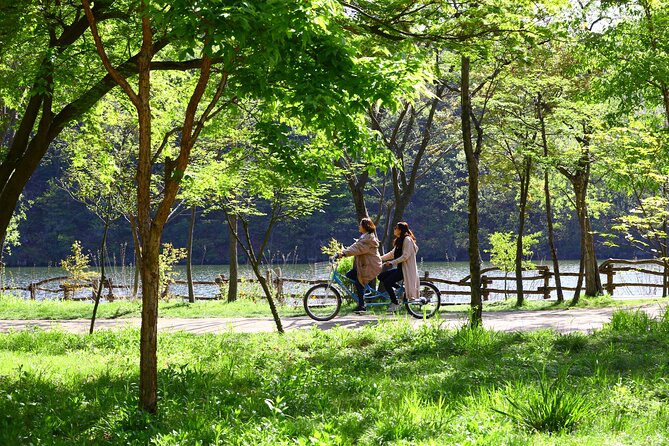 Trip to Nami Island with Petite France & Italian Village, Garden of Morning Calm - Petite France and Italia Village: cute photo stops with real tradeoffs