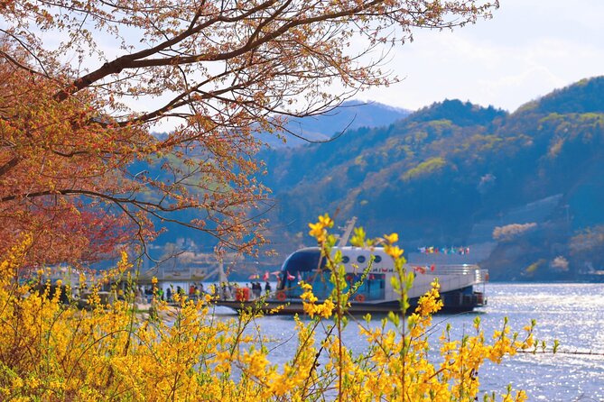 Trip to Nami Island with Petite France & Italian Village, Garden of Morning Calm - Group size and guide quality: small details that change the day