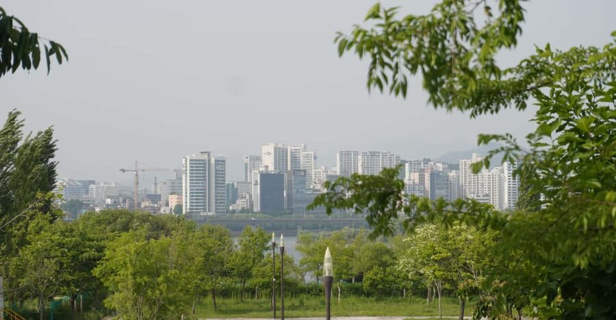 Unique Native Experience : Han River Picnic, Board game, BBQ - A 3-hour Han River hangout with Korean BBQ and yutnori
