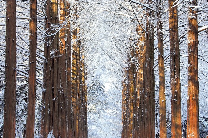 Vivaldi Park Winter Ski Resort with Nami Island Tour from Seoul - Choosing your snow option: ski, snowboard, sled, gondola, or shuttle