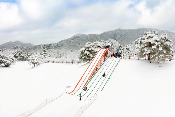 Vivaldi Park Winter Ski Resort with Nami Island Tour from Seoul - Nami Island: why the second half of the day feels so different