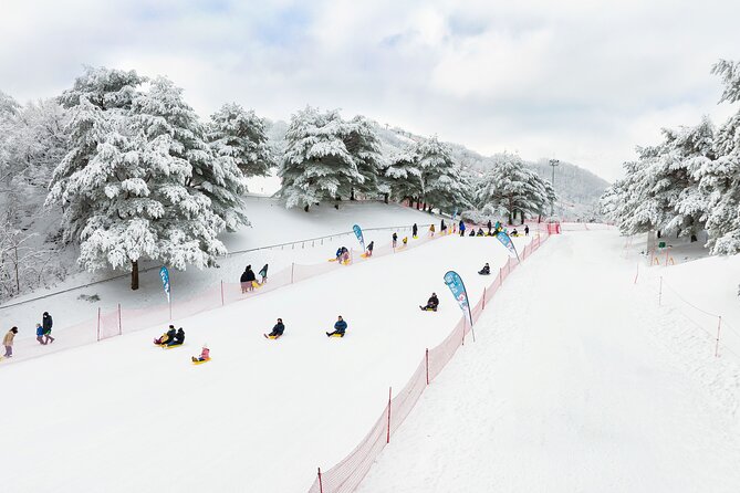 Vivaldi Park Winter Ski Resort with Nami Island Tour from Seoul - The guide factor: why clear instructions matter on snow