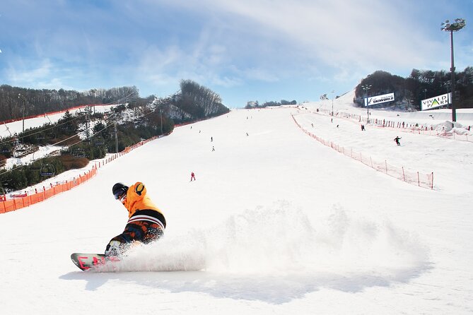 Vivaldi Park Winter Ski with Eobi Ice Valley Day Tour from Seoul - Key things to know before you go